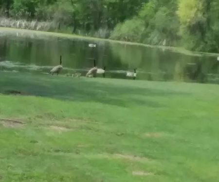 Country Manor Mobile Home Park & Mini Storage