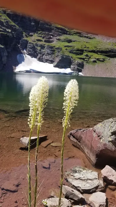 Cobalt Lake Campground Picture 4