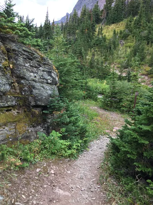 Cobalt Lake Campground Picture 9