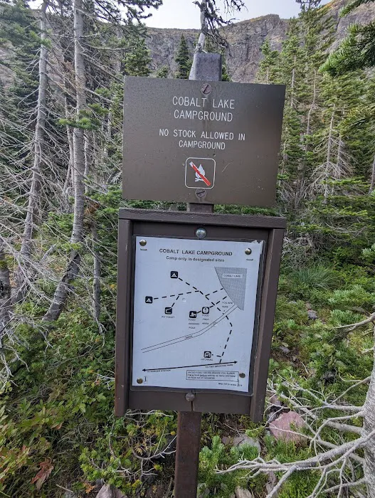 Cobalt Lake Campground Picture 8