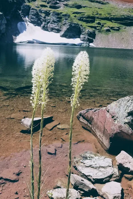 Cobalt Lake Campground Picture 2