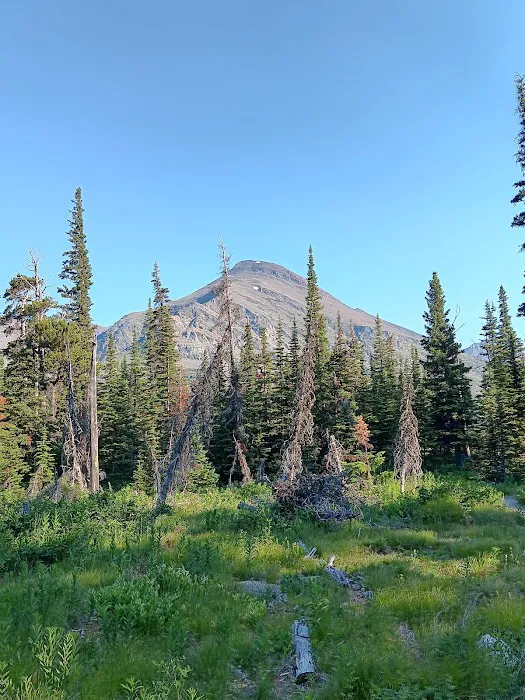 Upper Two Medicine Lake Campground Picture 7