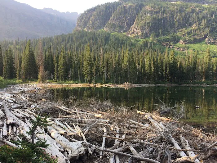 Upper Two Medicine Lake Campground Picture 5