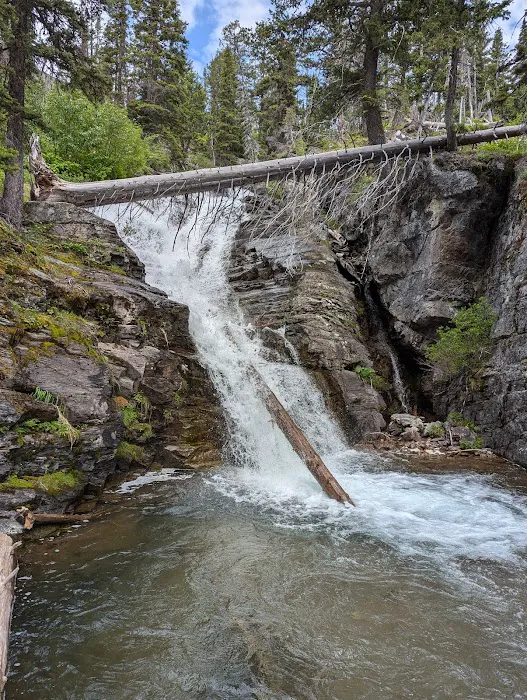 Upper Two Medicine Lake Campground Picture 6