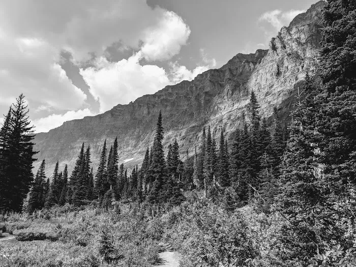 Upper Two Medicine Lake Campground Picture 8