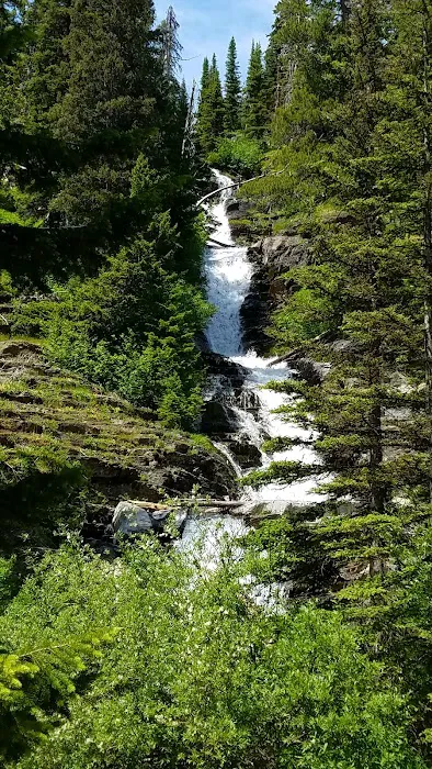 Upper Two Medicine Lake Campground Picture 10