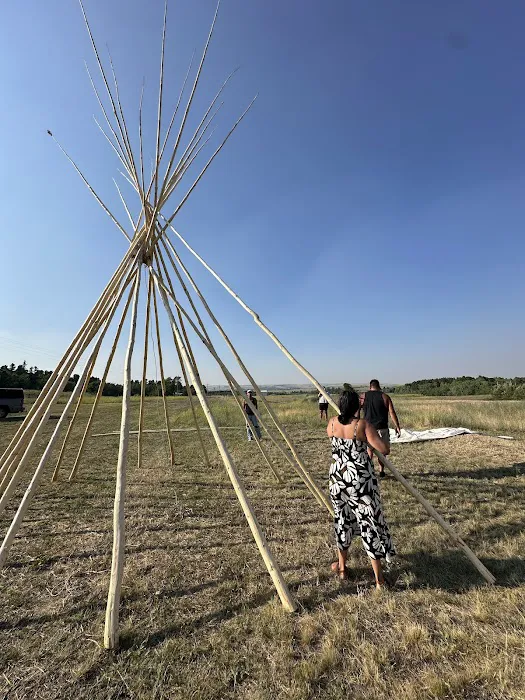 Casey's RV Park and Campground Picture 2