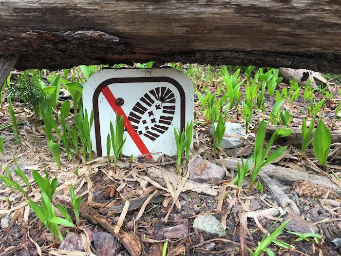 Oldman Lake Campground Picture 3