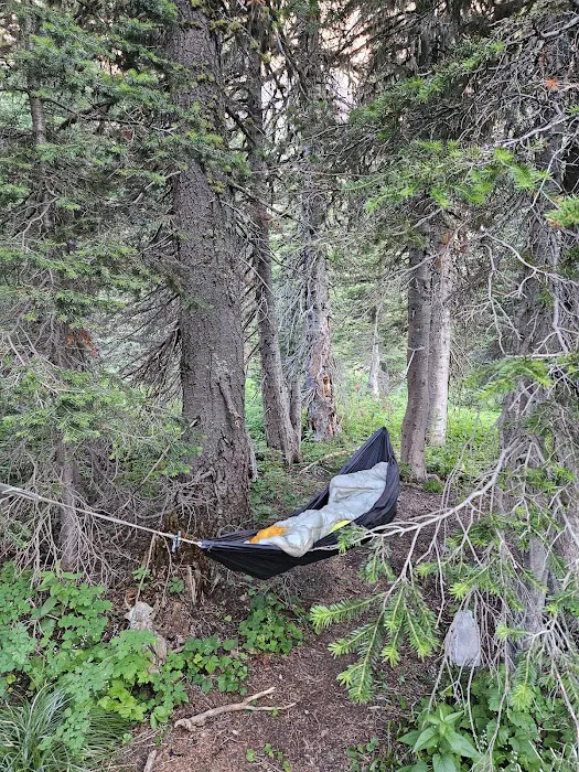 Morning Star Lake Campground Picture 1