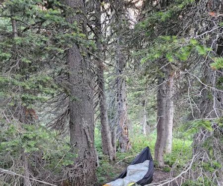 Morning Star Lake Campground