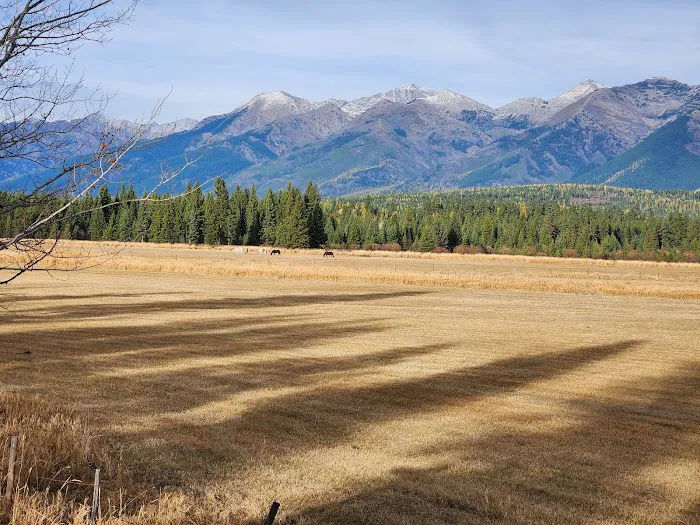 Seeley Lake Campground Picture 2