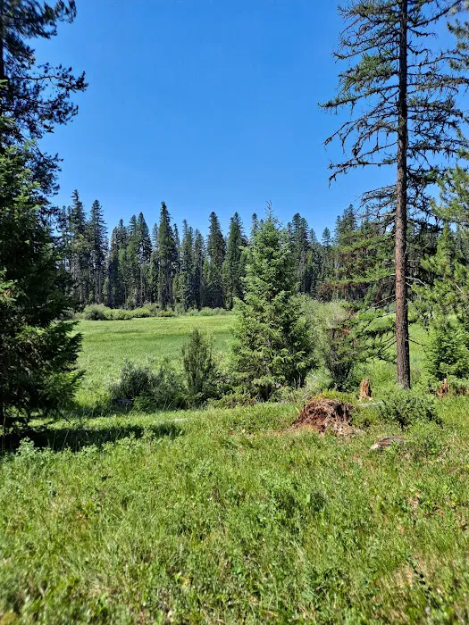 Seeley Lake Campground Picture 5