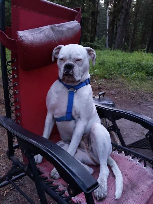 Seeley Lake Campground Picture 9