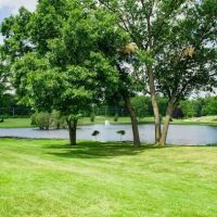 Hickory Hills Village ico