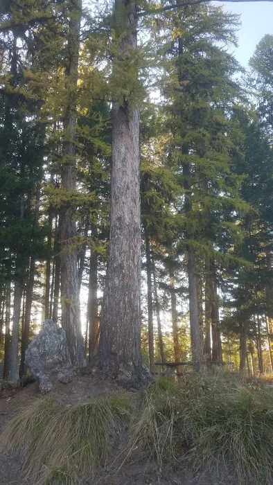 River Point Campground Picture 8