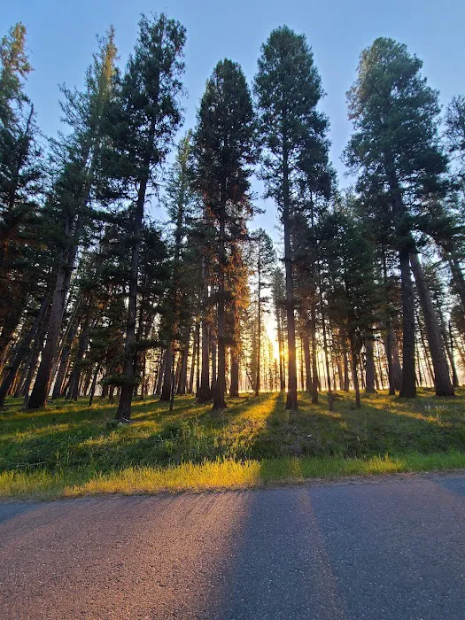 River Point Campground Picture 5