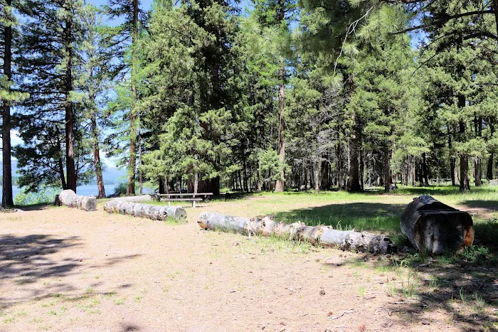 Big Larch Campground Picture 8