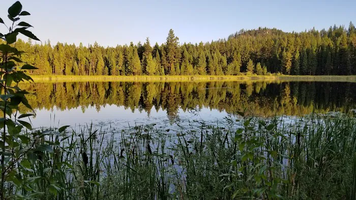 Tuppers Lake Campground Picture 6