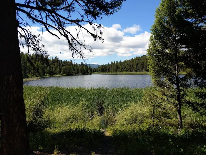 Tuppers Lake Campground Picture 1