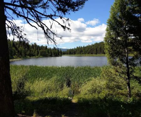 Tuppers Lake Campground