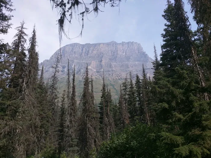 Reynolds Creek Campground Picture 2