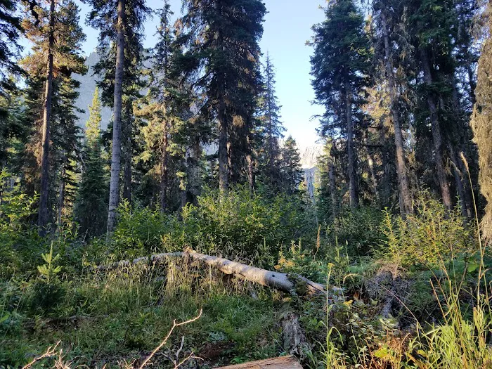 Reynolds Creek Campground Picture 4