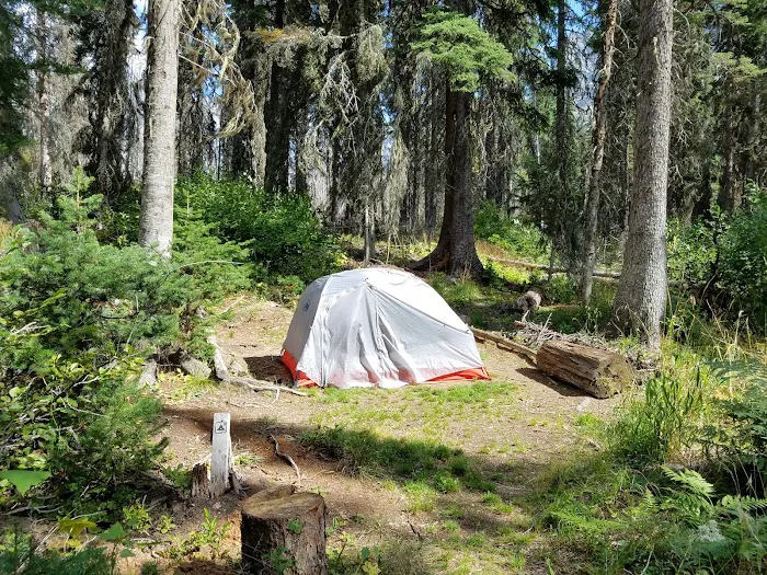 Reynolds Creek Campground Picture 7