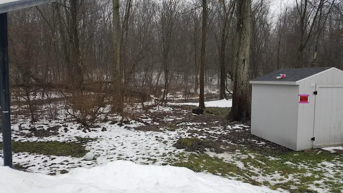 Bedford Hills Picture 7