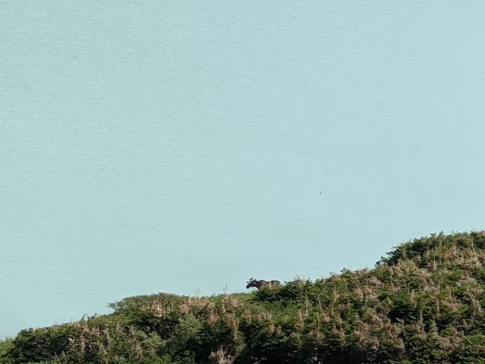 Cracker Lake Campground Picture 5