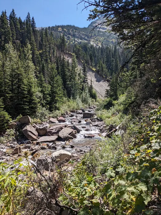 Cracker Lake Campground Picture 2