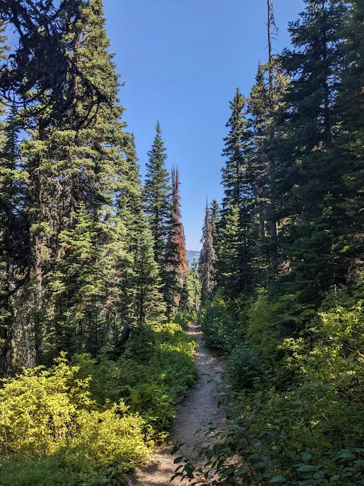 Cracker Lake Campground Picture 4