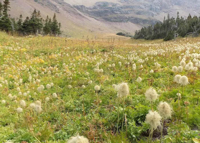 Otokomi Lake Campground Picture 10