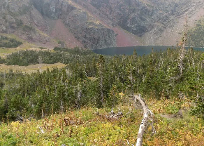 Otokomi Lake Campground Picture 9