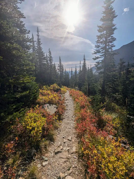 Otokomi Lake Campground Picture 3