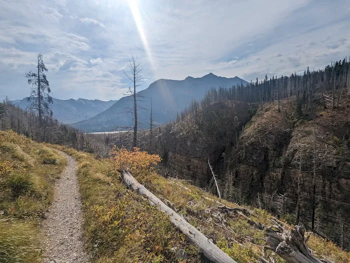 Otokomi Lake Campground Picture 2