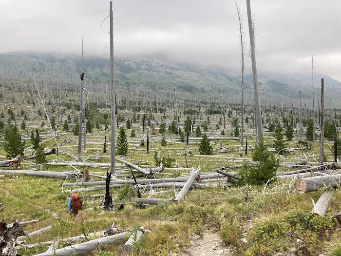 Red Eagle Lake Head campground Picture 2