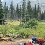 Red Eagle Lake Head campground