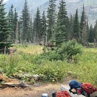 Red Eagle Lake Head campground ico