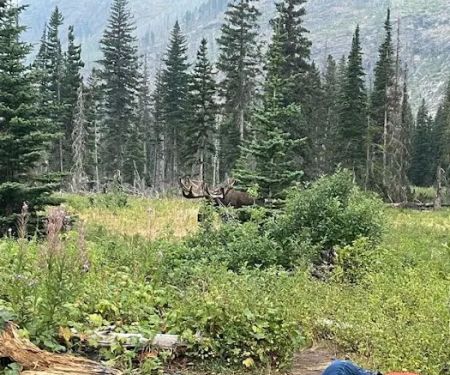 Red Eagle Lake Head campground