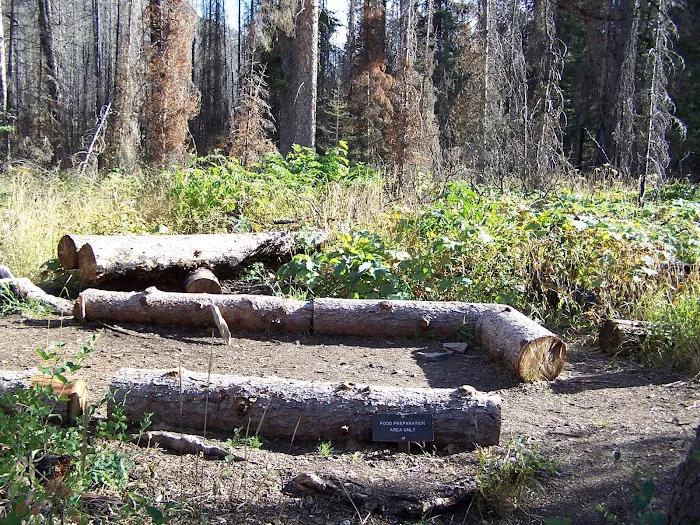 Red Eagle Lake Head campground Picture 10