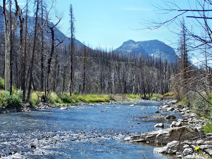 Red Eagle Lake Head campground Picture 9