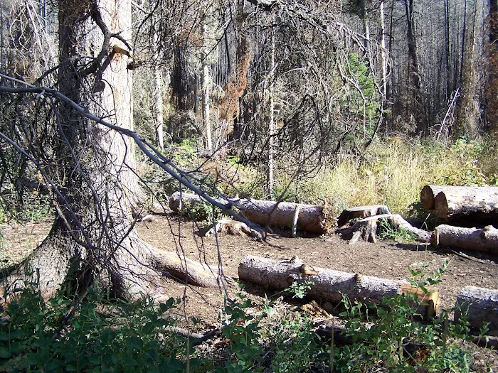 Red Eagle Lake Head campground Picture 8