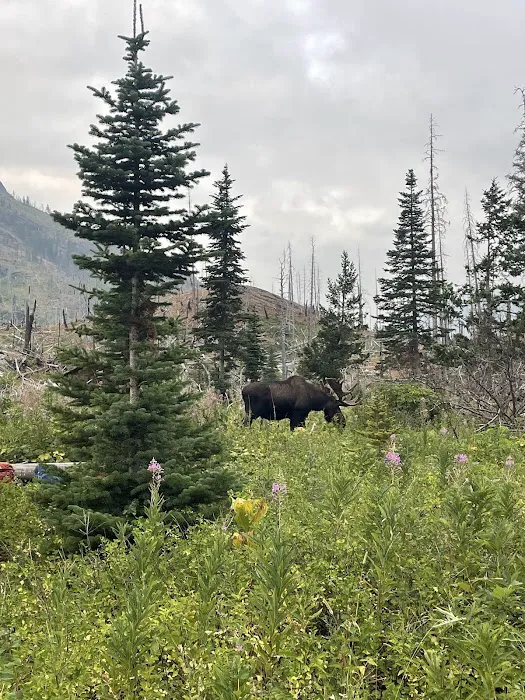 Red Eagle Lake Head campground Picture 4