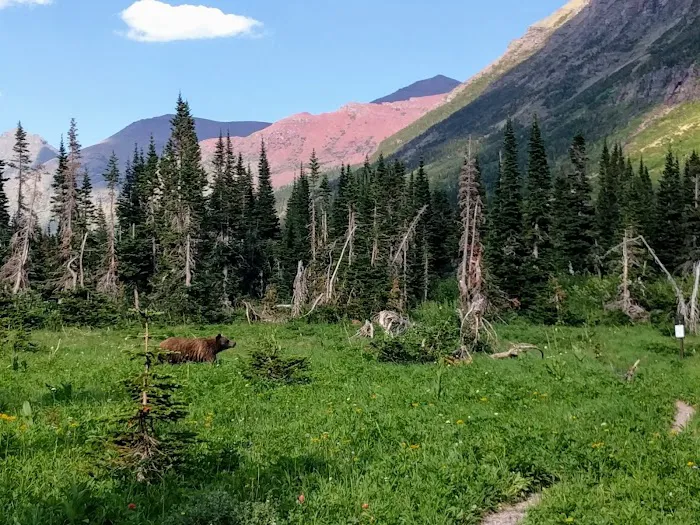 Helen Lake Campground Picture 9