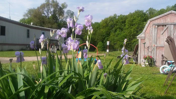 Andrews Estates Mobile Home Park Picture 4