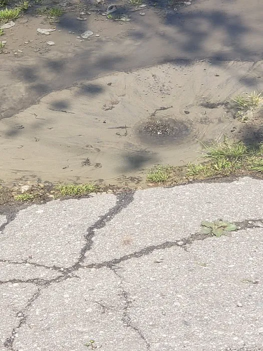 Andrews Estates Mobile Home Park Picture 2