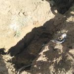 Andrews Estates Mobile Home Park