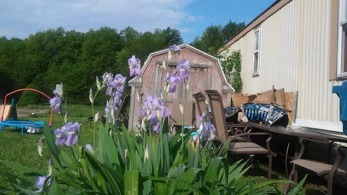 Andrews Estates Mobile Home Park Picture 6