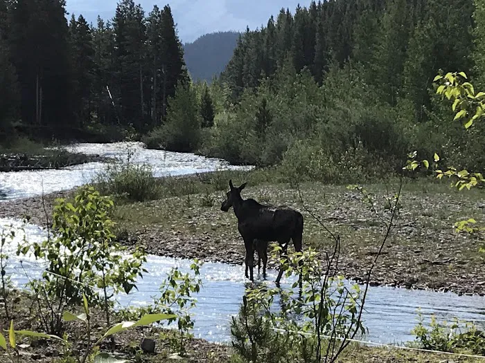 Many Glacier Campground Picture 4