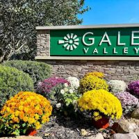 Gale Valley ico
